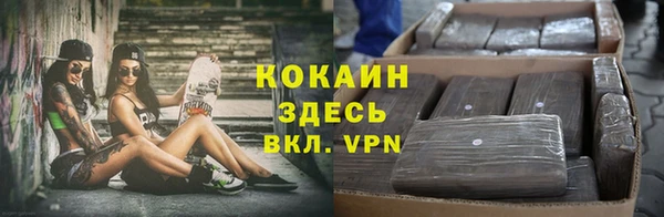 мет Няндома