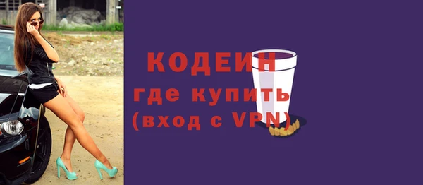 мет Няндома