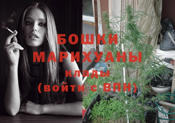 мет Няндома