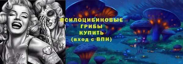 мет Няндома